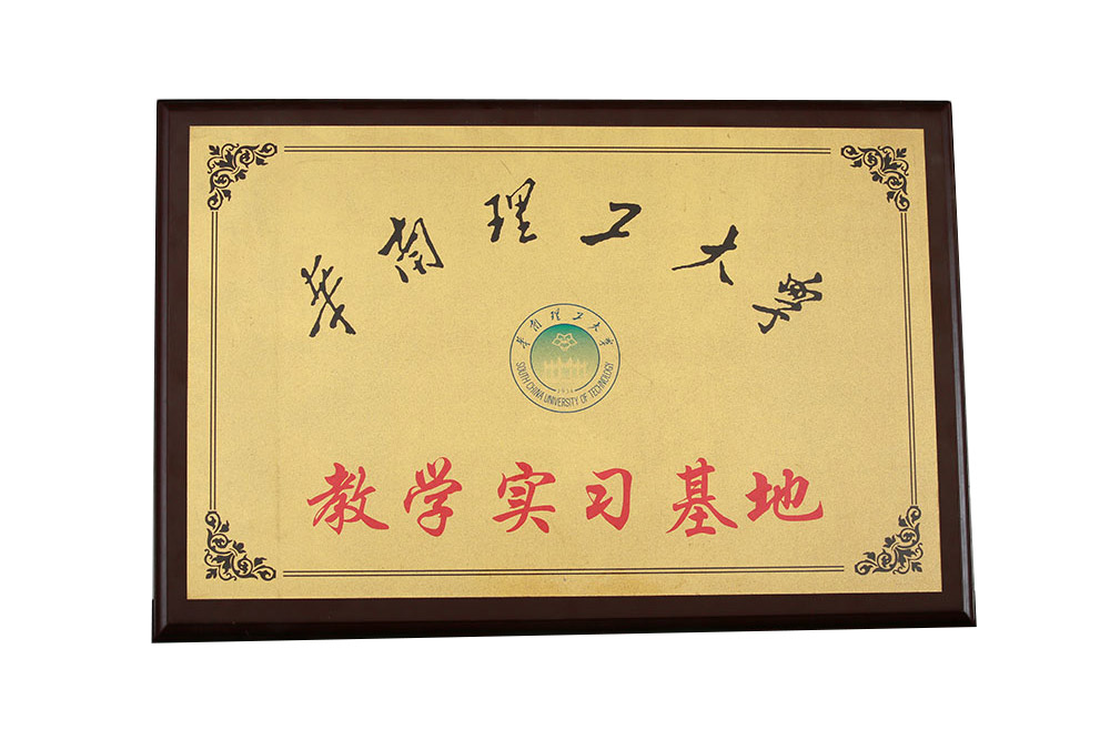 ��ѧʵϰ����